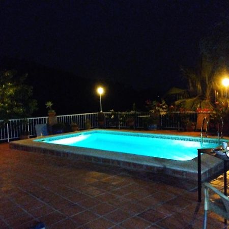 Los Olivos Málaga Dış mekan fotoğraf