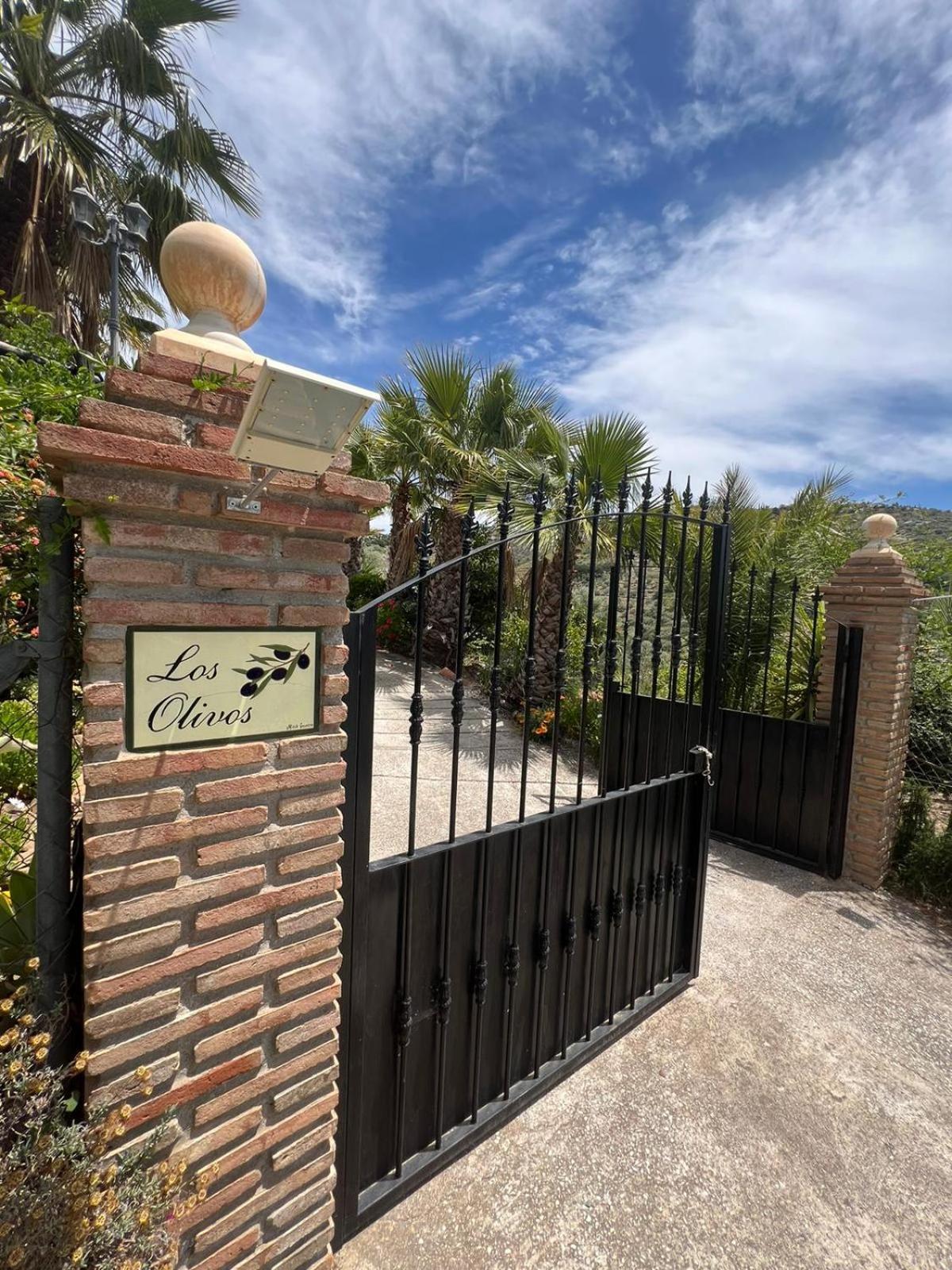 Los Olivos Málaga Dış mekan fotoğraf