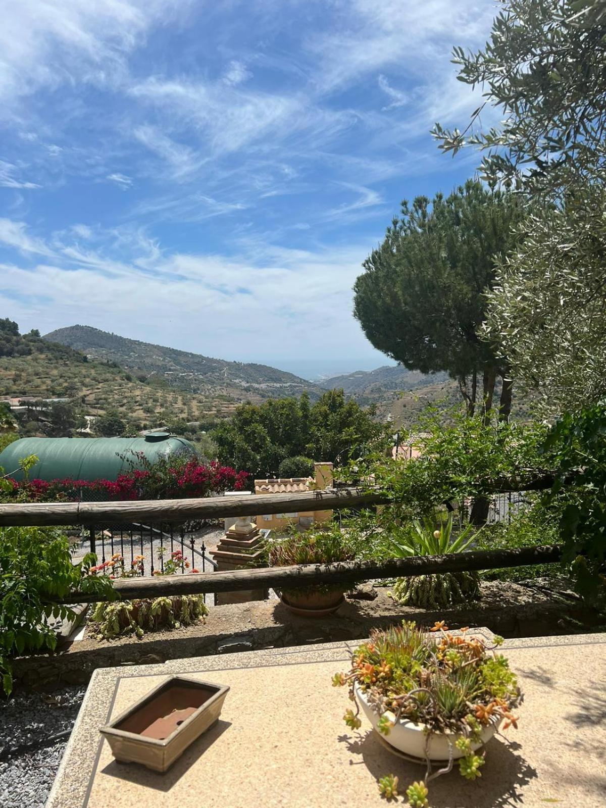Los Olivos Málaga Dış mekan fotoğraf