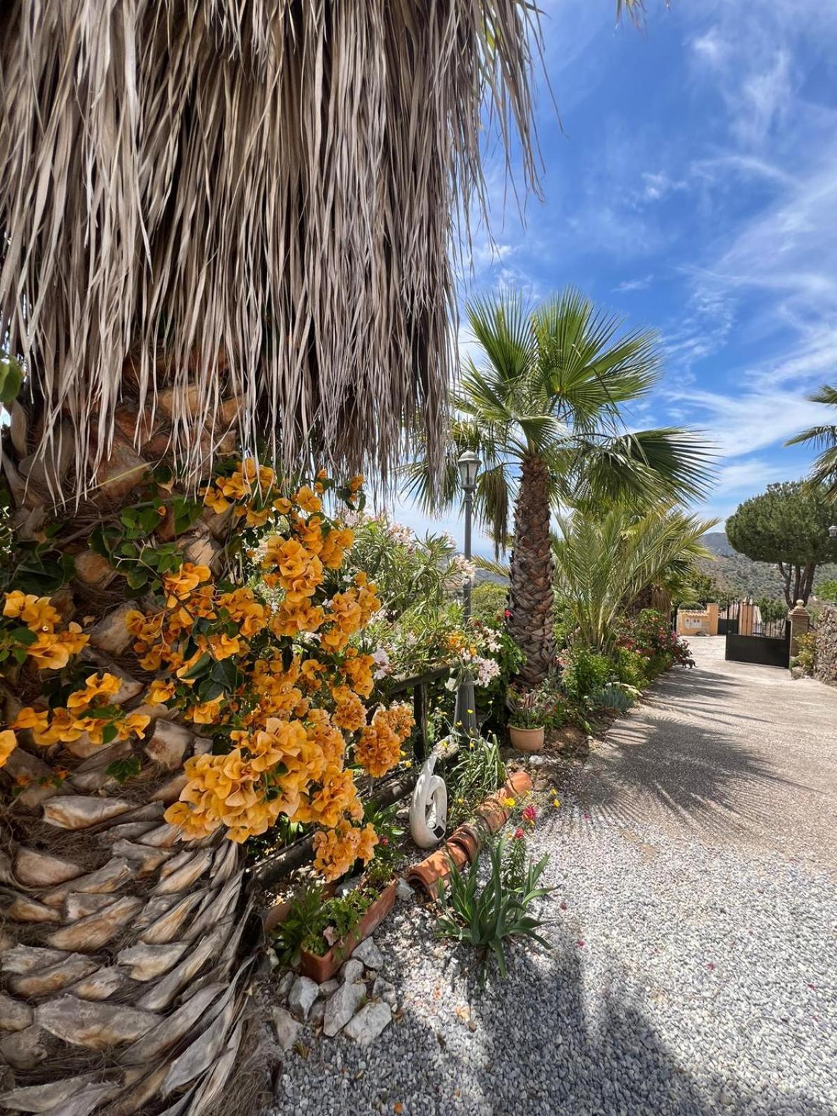 Los Olivos Málaga Dış mekan fotoğraf