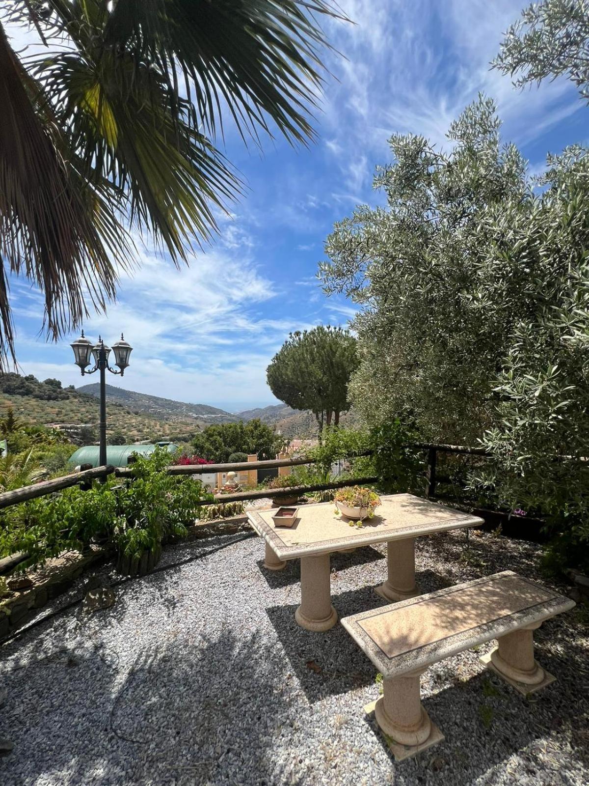 Los Olivos Málaga Dış mekan fotoğraf